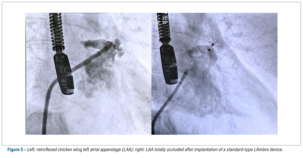 微信图片8.png 微信图片8.png