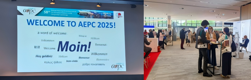 WPS拼图01.png WPS拼图01.png