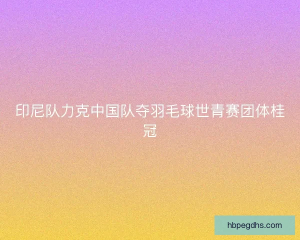 印尼队力克中国队夺羽毛球世青赛团体桂冠
